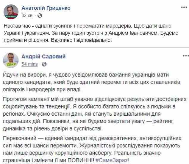 Гриценко: Через пару часов с Садовым будем принимать важное решение, наступило время объединить усилия 01