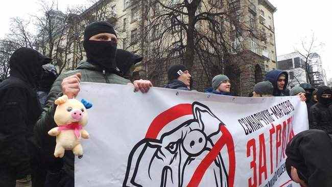 Участники акции Свинарчуків Порошенка – за ґрати! забросали силовиков у Администрации Президента игрушечными свиньями 13