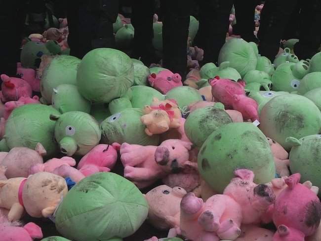 Участники акции Свинарчуків Порошенка – за ґрати! забросали силовиков у Администрации Президента игрушечными свиньями 11