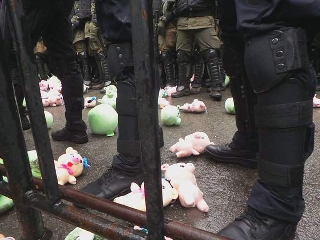 Участники акции Свинарчуків Порошенка – за ґрати! забросали силовиков у Администрации Президента игрушечными свиньями 14