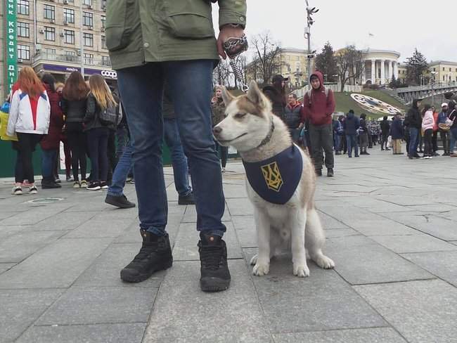 #СвинарчуковПорошенка - за решетку!: В центре Киева проходит акция Нацкорпуса 25