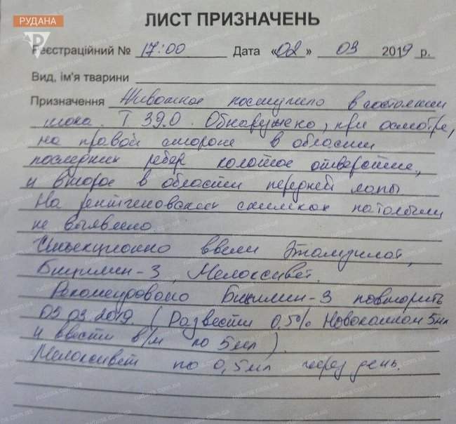 Майор полиции Руденко в Кривом Роге издевался над собакой: насадил на вилы и хотел сжечь, - зоозащитники 04