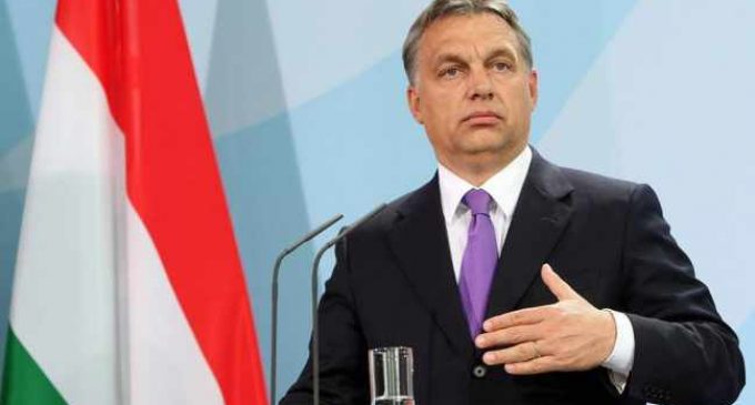 Орбан поддержал идею Бэннона о «правой революции» в ЕС