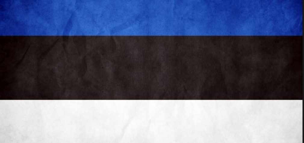 Армия Эстонии создала подразделение для борьбы с «русскими хакерами»