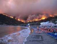 Власти Греции рассматривают версию о поджоге лесов