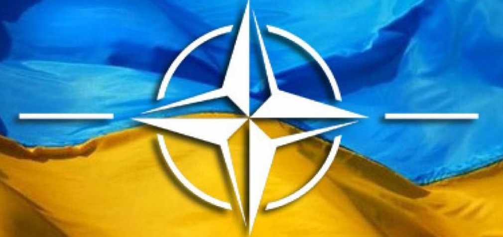 Киев надеется на поддержку США в вопросе вступления Украины в НАТО, — Пристайко