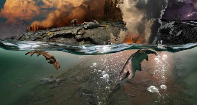 Ученые раскрыли тайну величайшего вымирания в истории Земли