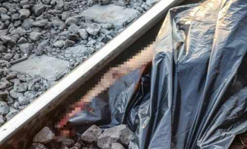В Киеве под колесами локомотива погибла девушка