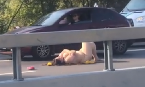 В Киеве голая женщина лежала посреди трассы, чтобы «найти любовь»