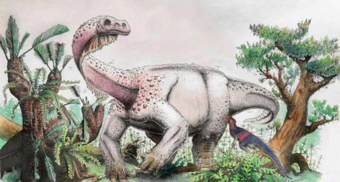 Палеонтологи нашли новый вид гигантских динозавров