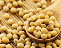 Медики назвали продукт для снижения уровня холестерина
