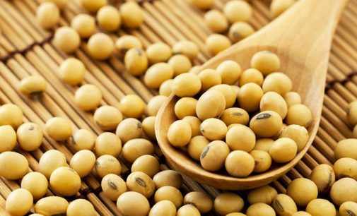 Медики назвали продукт для снижения уровня холестерина