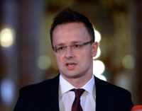 Сийярто рассказал о планах Венгрии по Закарпатью