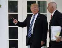 Трамп намекнул, что Мэттис может уйти в отставку