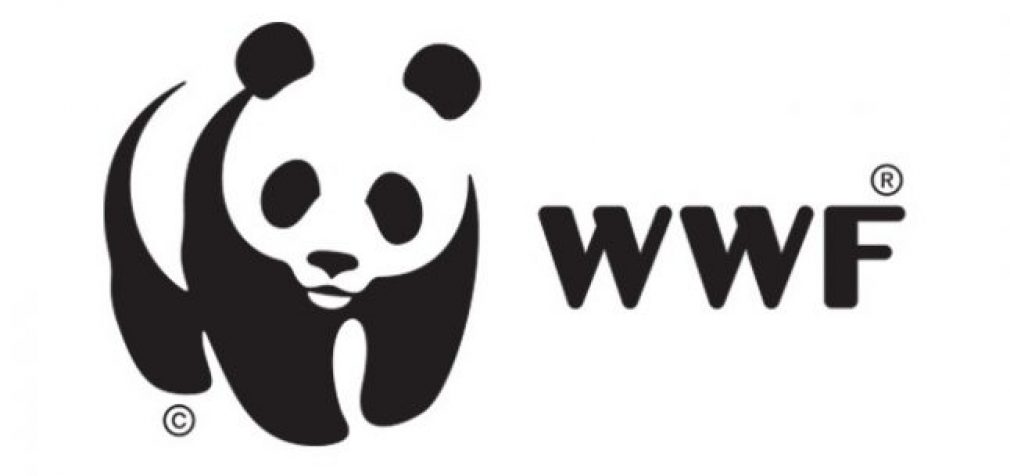 WWF: Человек уничтожил 60% диких животных на планете