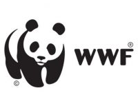 WWF: Человек уничтожил 60% диких животных на планете