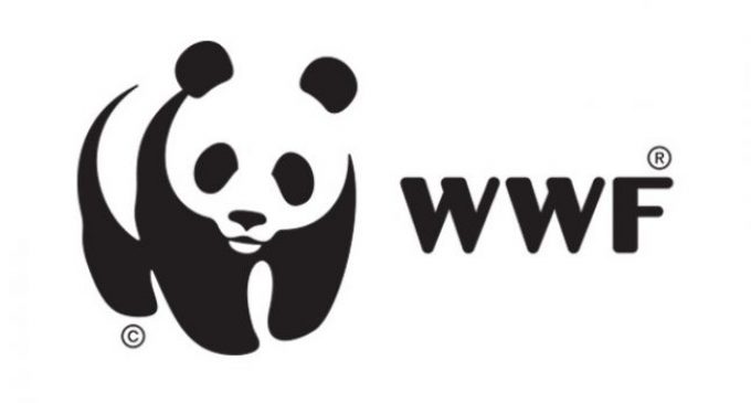 WWF: Человек уничтожил 60% диких животных на планете