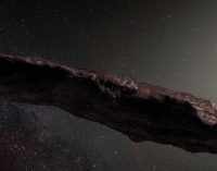 Ученые рассказали о неожиданных находках на поверхности астероида