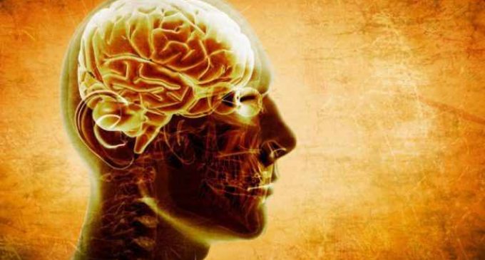 Медики выявили предвестников болезни Альцгеймера