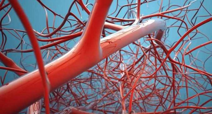 Названы главные признаки тромбов  в кровеносных сосудах