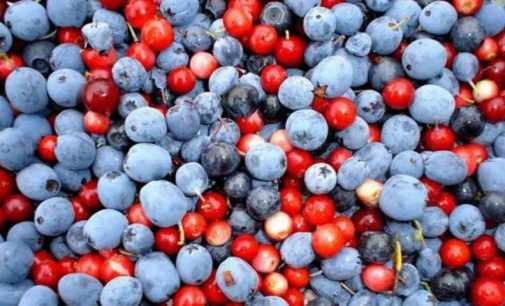 Названы четыре продукта для омоложения