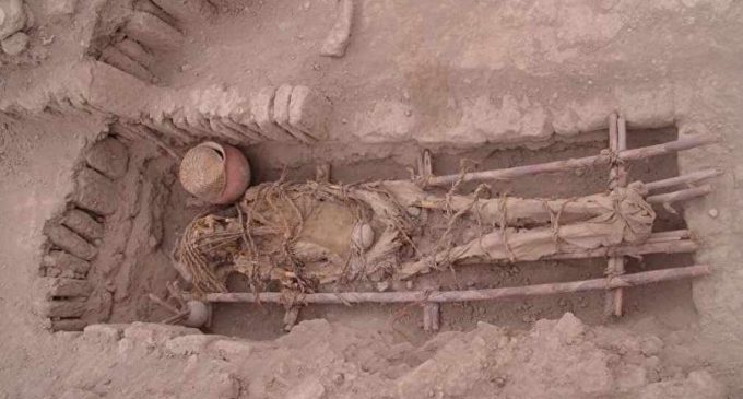 Генетики расшифровали ДНК древнейшей мумии Нового Света