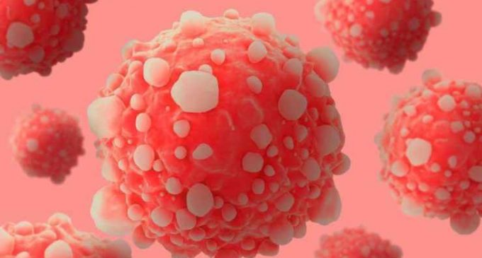 Открытие ученых приведет к новому способу лечения рака