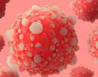 Расшифрована структура вируса, убивающего рак