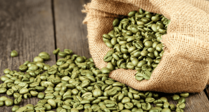 Зеленый кофе поможет снизить уровень холестерина