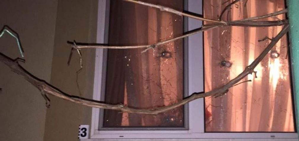 Во двор главы Ривненского горсуда бросили гранату и обстреляли дом из автомата, – полиция. ФОТОрепортаж