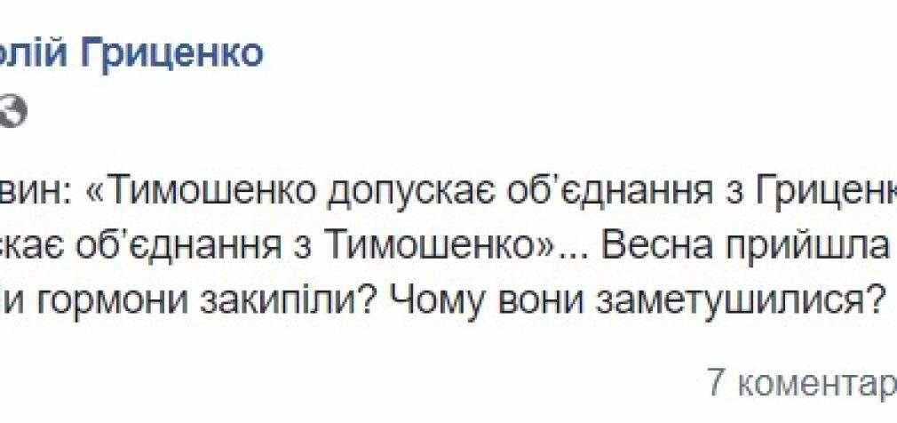 Гриценко о словах Тимошенко про возможный союз: “Сезонный авитаминоз? Или гормоны закипели?”