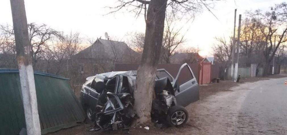 В Киевской области водитель выехал на обочину и столкнулся с деревом: погибло 5 человек. ФОТО