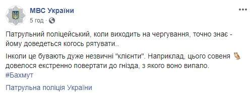 Патрульный полицейский в Бахмуте спас совенка, выпавшего из гнезда 03