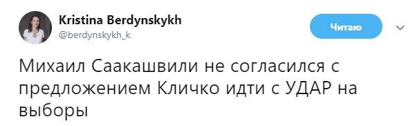 Саакашвили отказался возглавить партию Кличко, - журналистка Бердинских 01