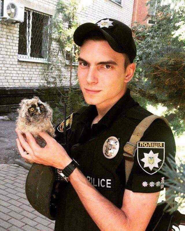 Патрульный полицейский в Бахмуте спас совенка, выпавшего из гнезда 01