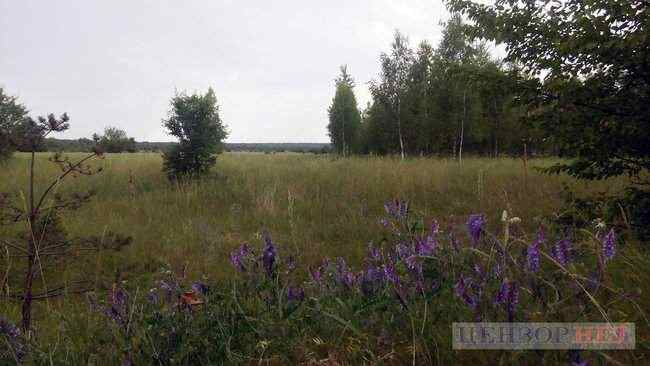 Бункер управления ЧАЭС, мост смерти, дом пожарного Игнатенко, - туроператоры разработали программу по местам событий сериала Чернобыль 18