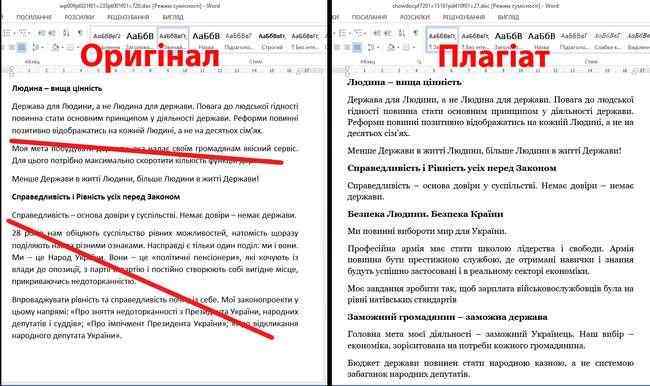 Спровоцировавший на драку Шабунина блогер Филимоненко идет на выборы с копией программы Зеленского, - ЧЕСНО 04