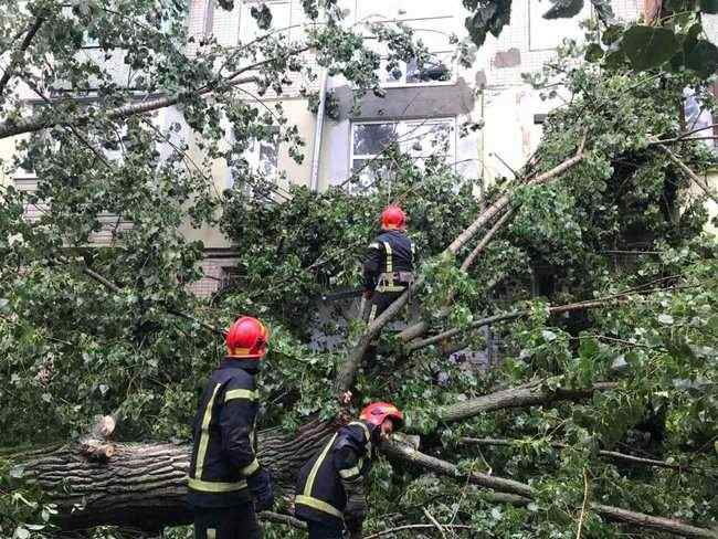 В результате падения дерева в Буче один человек погиб. В Киеве пострадали 4 человека, - ГСЧС 02