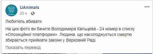 Человек, наслаждающийся смертью: в сети появились фото кандидата от ОП - За життя Кальцева с убитыми им редкими африканскими животными 09