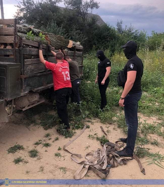 Сотрудник лесхоза попался на незаконном сбыте древесины на Закарпатье, - СБУ 02