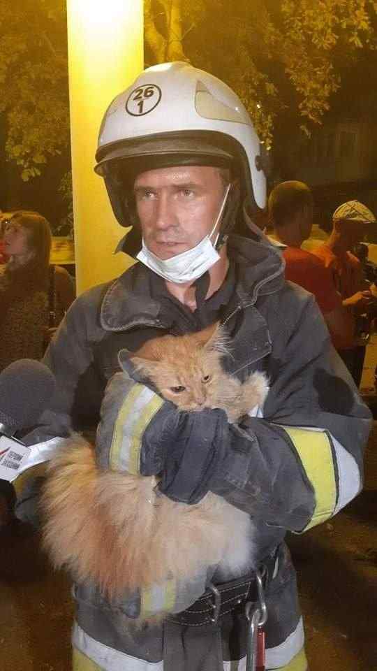 Тело женщины достали из-под завалов в Дрогобыче, - горсовет 04