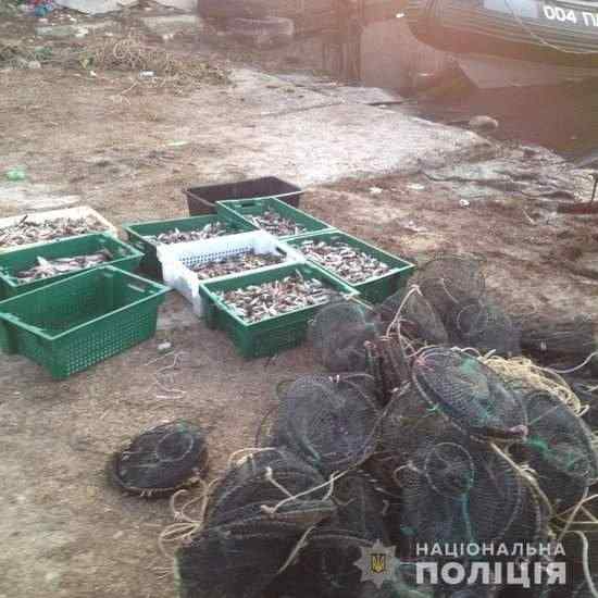 Водная полиция на Херсонщине помешала браконьерам выловить биоресурсов на 2 млн 04