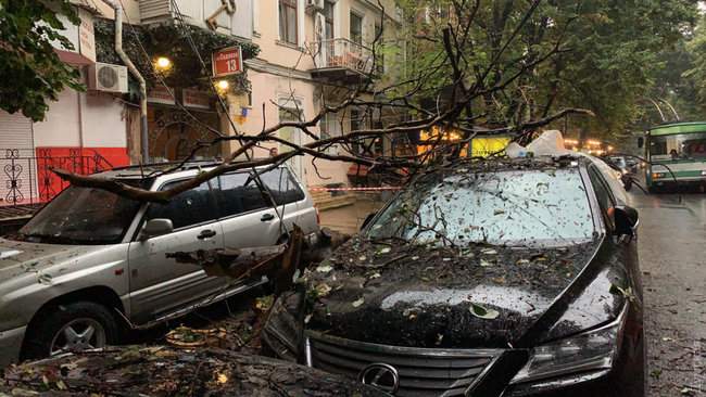 Ночной ураган в Одессе повалил десятки деревьев, оборвал провода, повредил транспорт 20