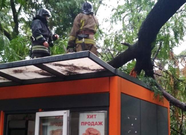 Ночной ураган в Одессе повалил десятки деревьев, оборвал провода, повредил транспорт 22