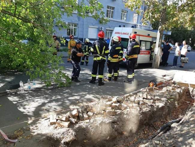 На женщину упало дерево в Печерском районе Киева, - ГСЧС 03