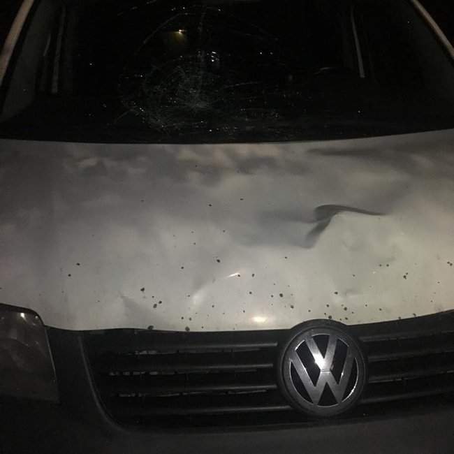 Житель Моршина на Volkswagen сбил отца с двумя детьми в Стрые, 4-месячный ребенок погиб, - полиция 01