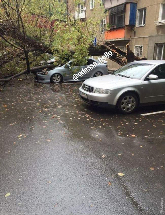 Ночной ураган в Одессе повалил десятки деревьев, оборвал провода, повредил транспорт 23