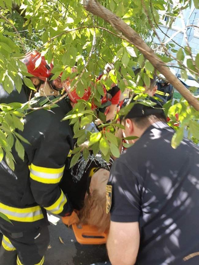 На женщину упало дерево в Печерском районе Киева, - ГСЧС 02
