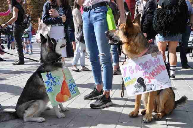 Марш за права животных прошел одновременно в 24 городах Украины 07