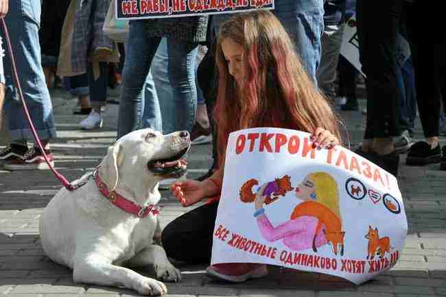 Марш за права животных прошел одновременно в 24 городах Украины 05